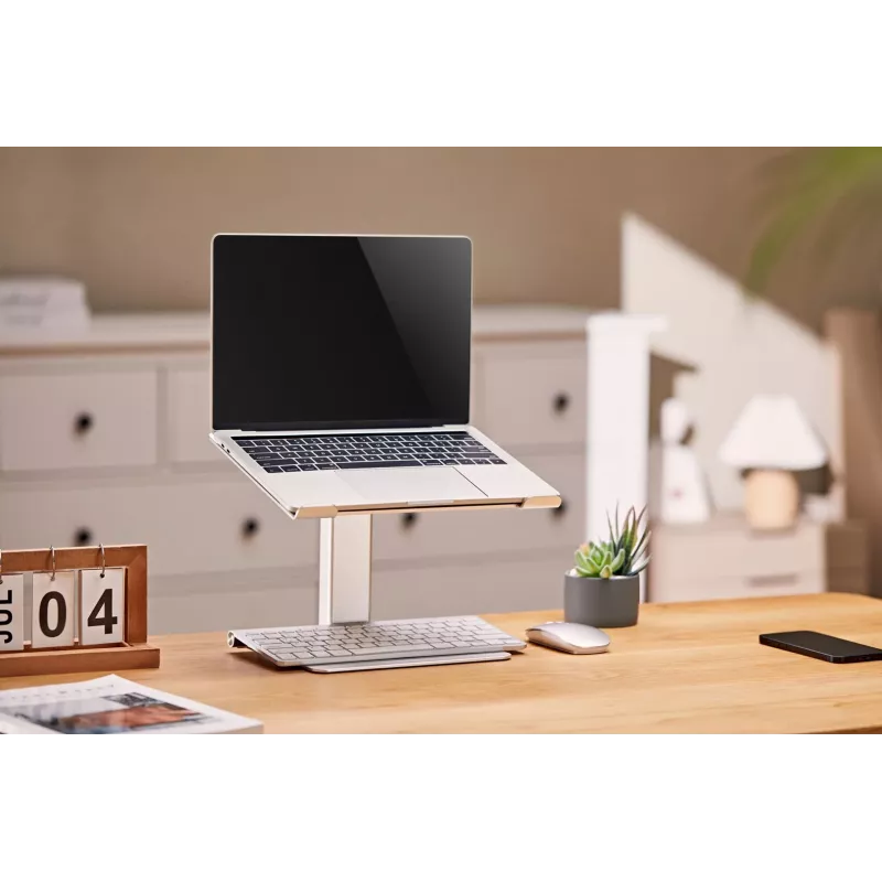 Supporto per laptop Gembird NBS-D1-02 argento 39,6 cm (15,6 inch)