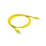 Cavo patch LANBERG RJ-45 Cat5e PCU5-10CC-0100-Y, 1 m, U/UTP, conduttore CCA, giallo