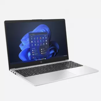 HP 250 G10 Intel® processor N100 Notebook 39,6 cm (15,6