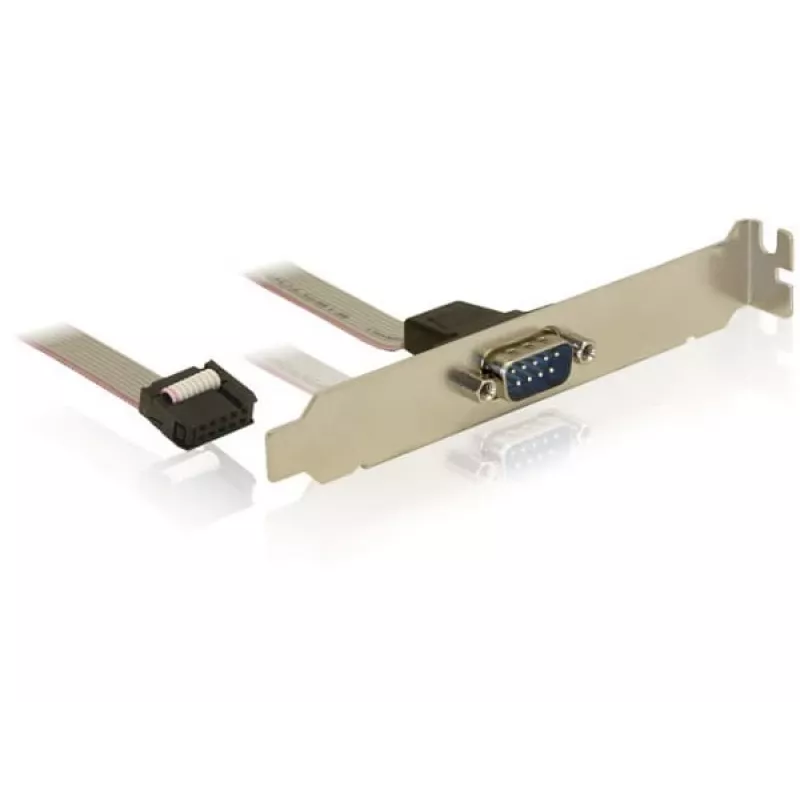 Scheda interfaccia DeLOCK 89108