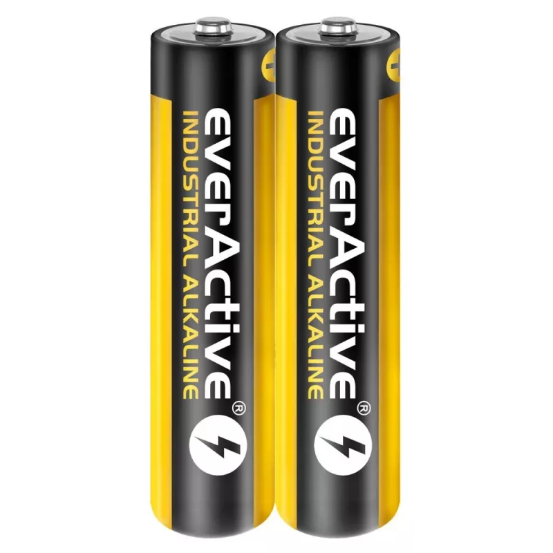 Batteria alcalina monouso everActive EVLR03S2IK AAA 1,5 V, 40 pz., 5 anni di durata