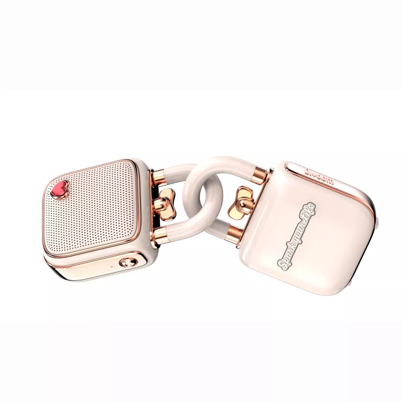 Altoparlante mono portatile Divoom LoveLock rosa