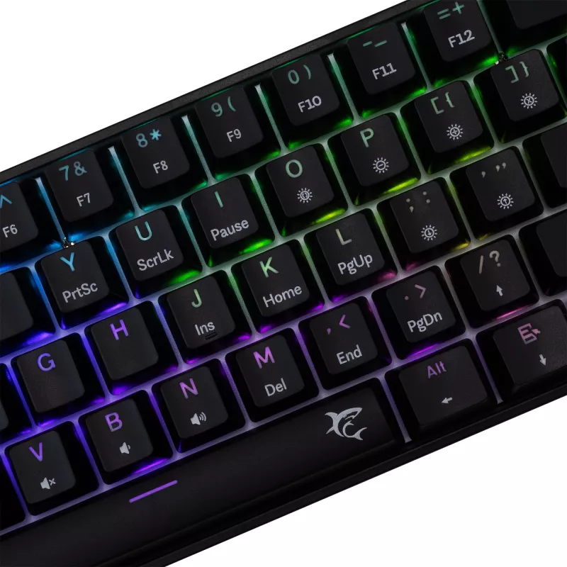 Tastiera meccanica White Shark Shinobi-2 switch Blue nera layout US