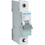Hager MCS125. Corrente nominale: 25 A. Tipo: caratteristica C, numero di moduli (max): 1 modulo. Larghezza: 17,5 mm, profondità: 70 mm, altezza: 83,4 mm (MCS125)