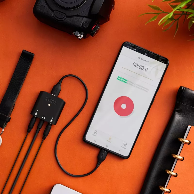Rode SC22 Cavo da USB-C a USB-C, 30cm (SC22)