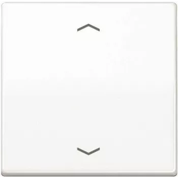 JUNG AS 1700 P WW Tasto di controllo standard simboli freccia AS1700PWW