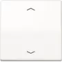 JUNG AS 1700 P WW Tasto di controllo standard simboli freccia AS1700PWW