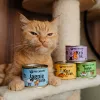 PAKA ZWIERZAKA coniglio - cibo umido per gatti - 200 g