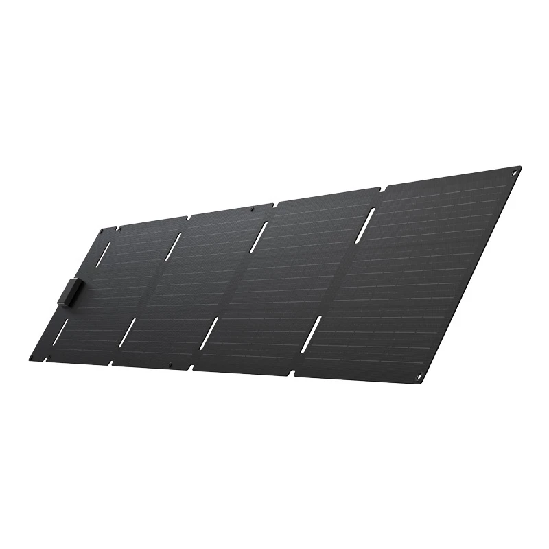 Pannello solare pieghevole portatile EcoFlow 60W (USB-C)