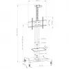 Hagor 8209 HP Twin Stand supporto mobile da pavimento per display da 32-55 pollici (81-140 cm), 45 kg, regolabile in altezza, nero