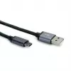 ROLINE selettore video - commutatore monitor - 2 x VGA - desktop