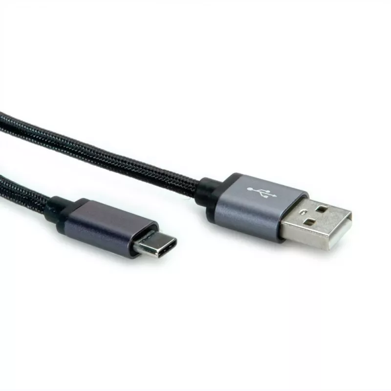 ROLINE selettore video - commutatore monitor - 2 x VGA - desktop