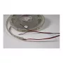 Synergy 21 Striscia LED Flex 5050 - 60 WW DC12V 72W IP20