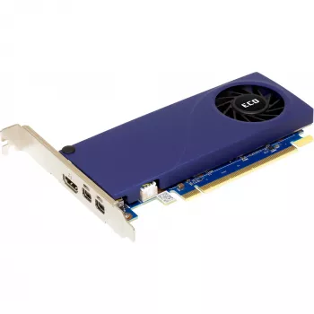 Scheda grafica Sparkle Intel Arc A310 ECO 4 GB GDDR6, PCIe 4.0 x8, 1000 MHz, bus 64 bit, 4K@60Hz