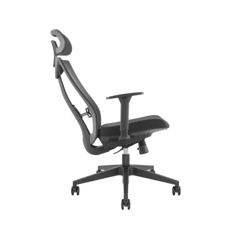 Sedia ergonomica premium Ergo Officer ER-414