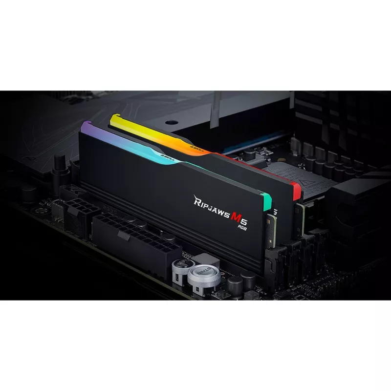 G.skill F5-6400J3239G16GX2-RM5RK modulo di memoria