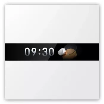 AQARA Display Switch V1 (WS-K02D) - interruttore Zigbee con display