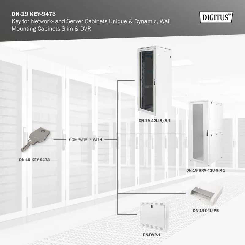 Chiave per armadi di rete e server Digitus DN-19 KEY-9473