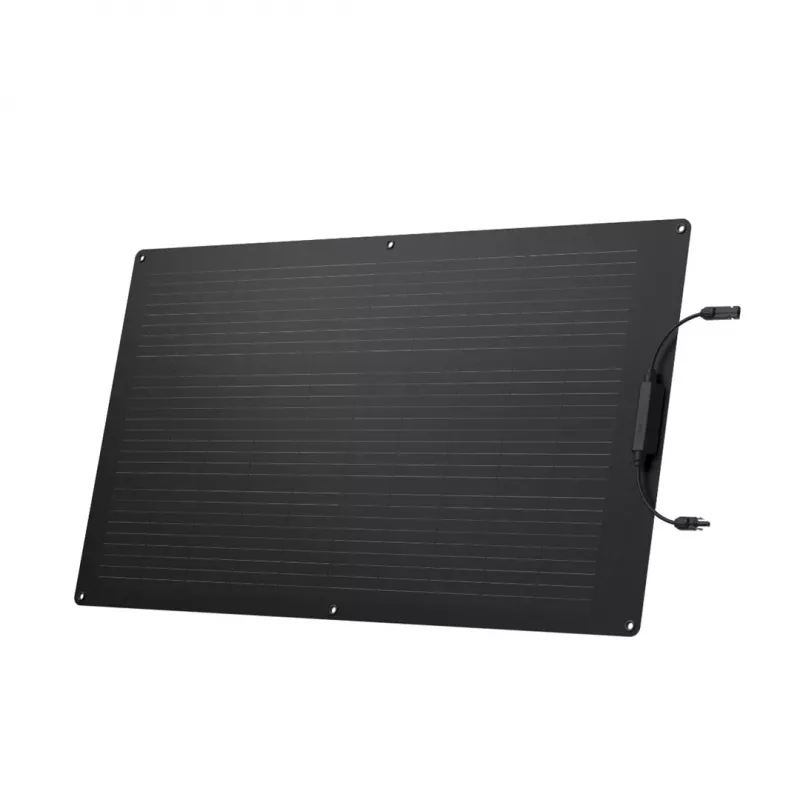 Modulo solare EcoFlow ZMS330 100 W silicio monocristallino