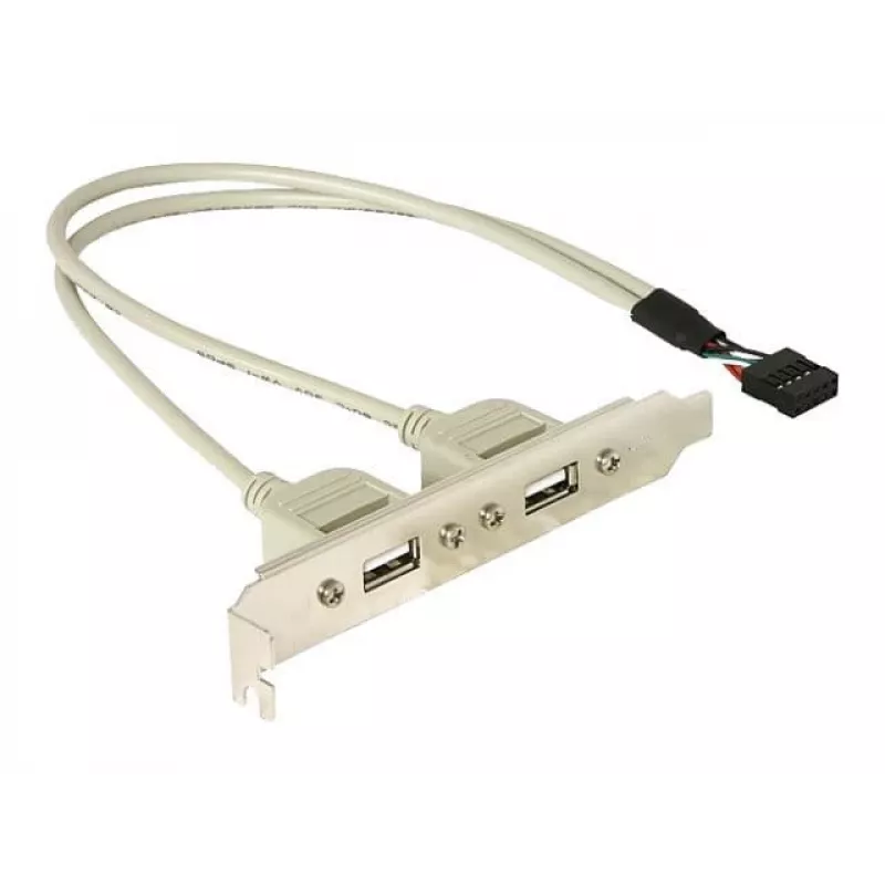 Staffa slot 1x USB 5 pin interno su 2x USB 2.0 esterno DeLOCK 71000