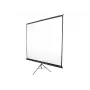 Schermo di proiezione portatile Elite Screens T120NWV1 3,05 m 4:3