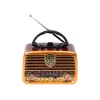 Radio analogica BLOW RA10 AM/FM solare 77-540 — ricevitore AM/FM con pannello solare e batteria di backup