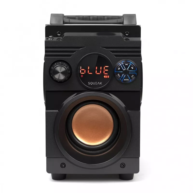 Squeak Bassblaster altoparlante Bluetooth 5.1, radio FM, lettore MP3 SQ1001