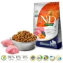 FARMINA N&D Pumpkin Lamb&Blueberry Adult Medium & Maxi - Crocchette per cani - 12 kg