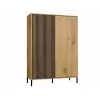 KAMARO 2DD stretto/GŁ rovere ARTISAN VETRINA