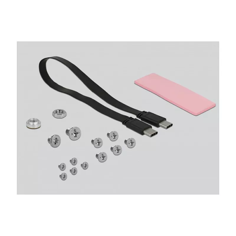 Case per SSD DeLOCK 42609 nero M.2