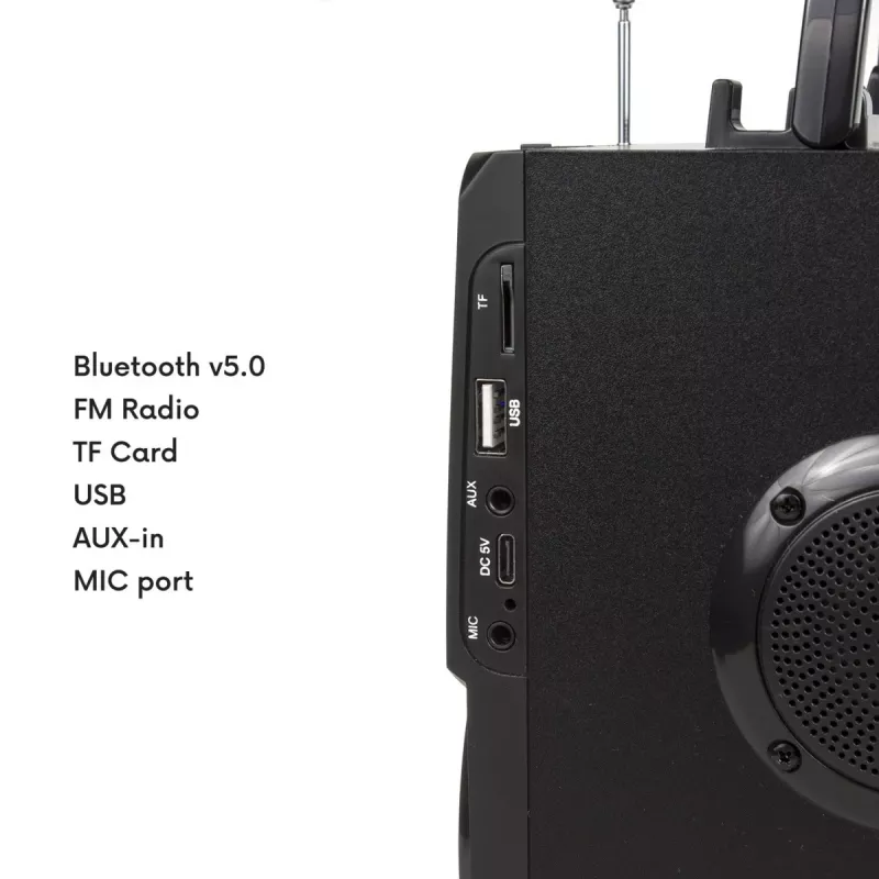 Altoparlante Bluetooth Audiocore AC730, nero