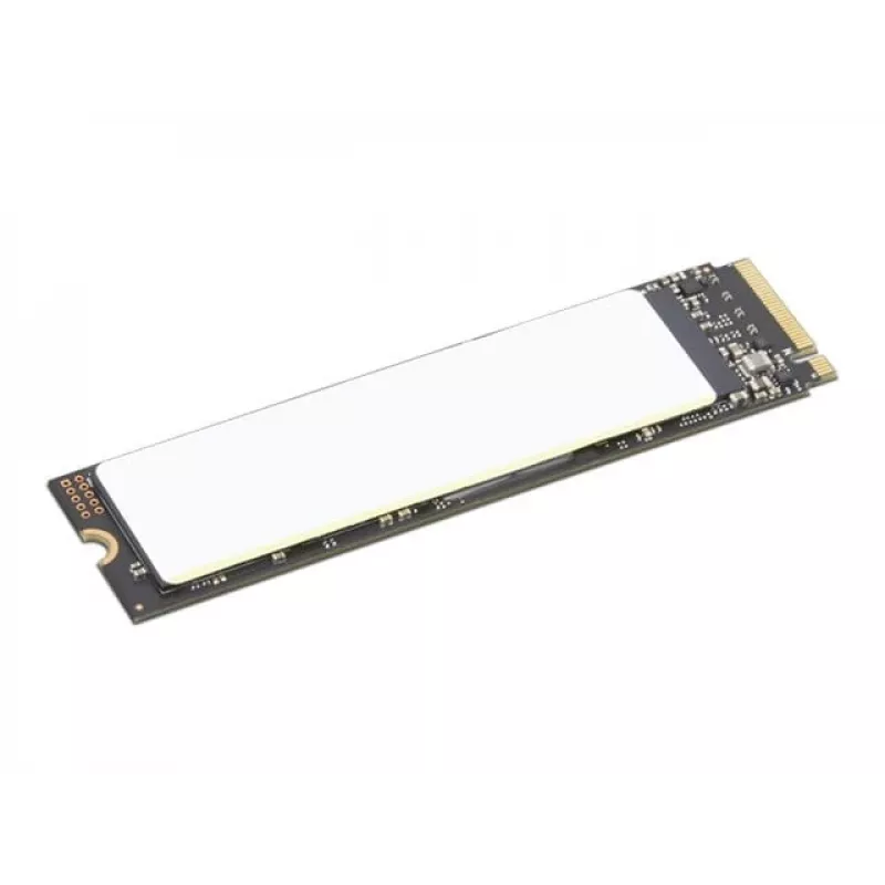 Lenovo 4XB1M86955 unità a stato solido interna 1 TB M.2 PCI Express 4.0 NVMe