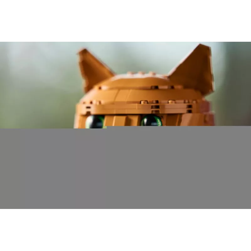 LEGO IDEAS 21376 Gatto arancione