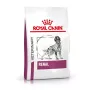 ROYAL CANIN Veterinary Renal crocchette per cani - 2 kg