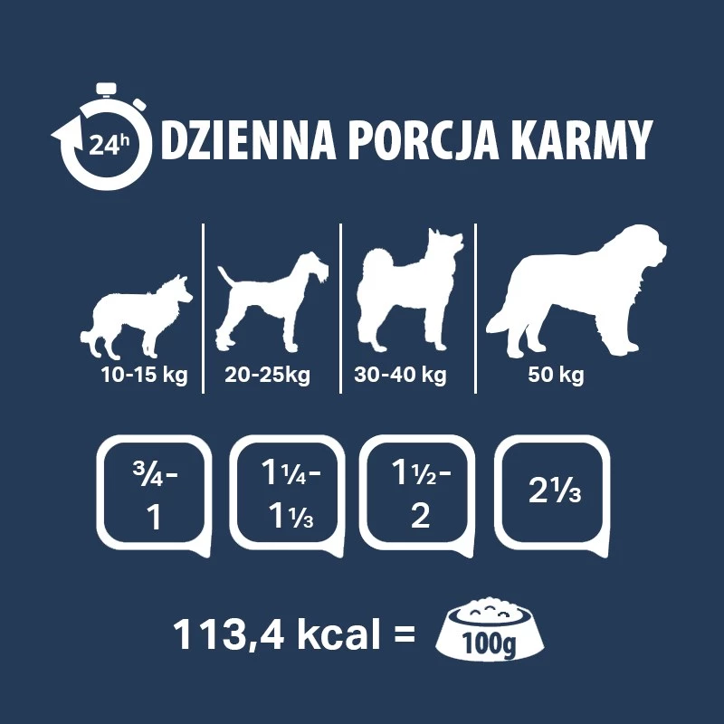 PUPIL Premium All Meat manzo - cibo umido per cani - 800g