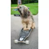 Longboard Muuwmi Lights GLOW ABEC 7 con ruote luminose, nero/verde