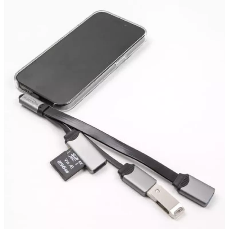 DeLOCK 64303 Hub USB 3.2 Gen 1 Type-C 5000 Mbit/s grigio