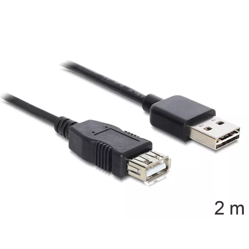 Cavo USB DeLOCK EASY-USB 2.0-A 2 m nero
