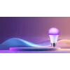 Xiaomi Lampadina LED smart bianco e colore - Lampadina intelligente