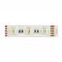 Synergy 21 Striscia LED Flex 5050 - 60 RGB DC24V + RGB-W one chip nw IP68