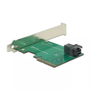 Scheda di interfaccia DeLOCK 89458