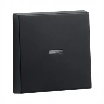 Bilancieri per telaio di controllo Gira System 55, modello 290005 (bilanciere telaio controllo)