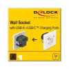 Presa DeLOCK 11489 CEE 7/3 + USB bianco 250V 16A