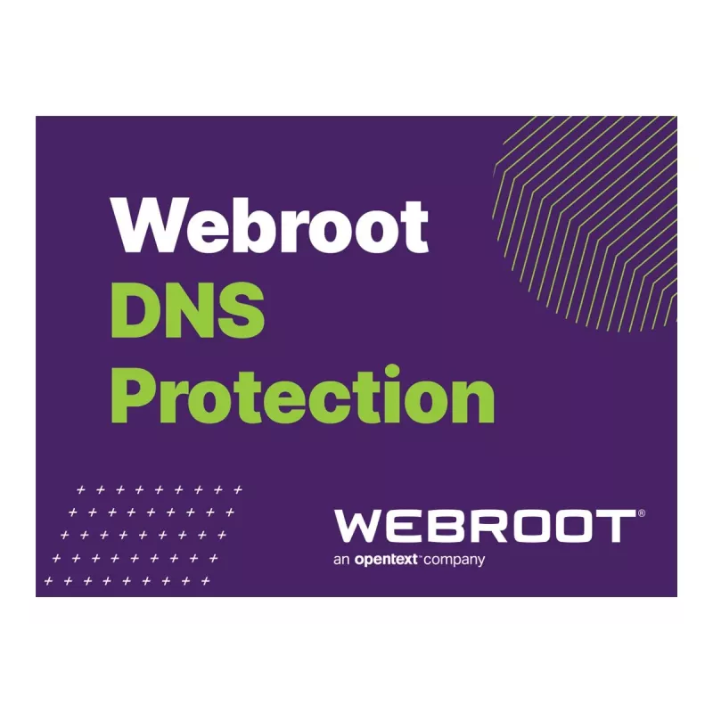 Webroot | DNS Protection con console GSM | 1 anno | Quantità licenza 1-9 utenti