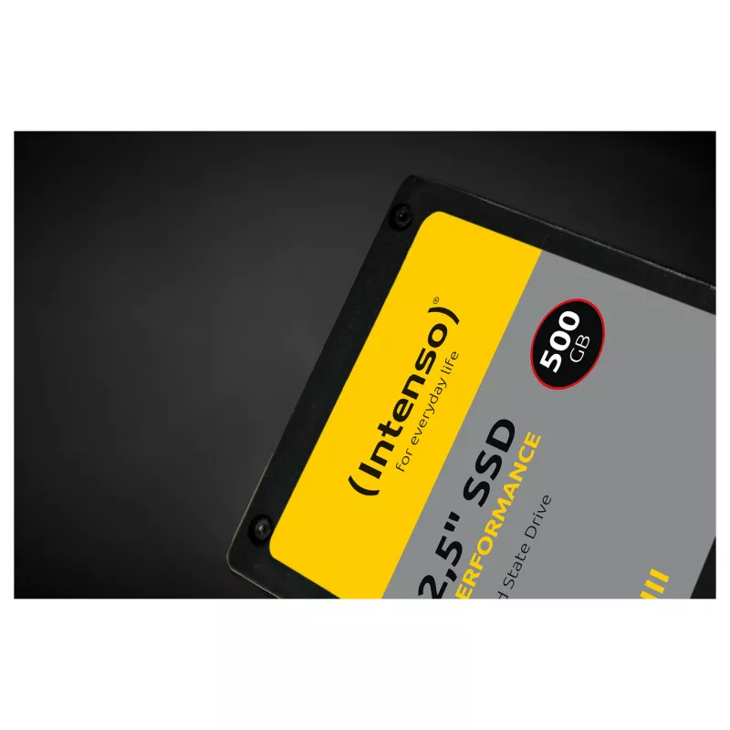 Intenso Performance - SSD - 1 TB - interno - 2,5