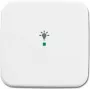 Busch-Jaeger 6220-0-0080 placca di copertura per supporto e scatola sensore bianco (2CKA006220A0080)