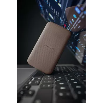 SSD Intenso 1 TB esterno USB Type-C 3.2 Gen 2 marrone