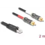 Cavo audio DeLOCK 2 m RJ-45 2 x RCA nero 88171