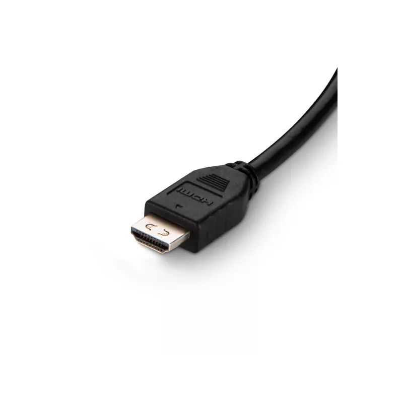 Cavo DVI a HDMI/USB/AUD DVI/HDMI MM USB A/B 10IN