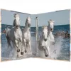 Raccoglitore ad anelli A4 HERMA 19360 multicolore
